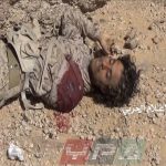 قتيل سابع من قوات التحالف في جبهة المهاشمة بمحافظة الجوف