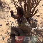 احد افراد التحالف يستسلم لقوات الجيش اليمني في جبهة المهاشمة بمحافظة الجوف