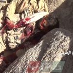 قتيل تاسع من قوات التحالف بجبهة المهاشمة في محافظة الجوف