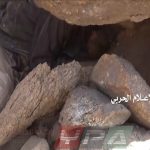 قتيل ثامن من قوات التحالف بجبهة المهاشمة في محافظة الجوف