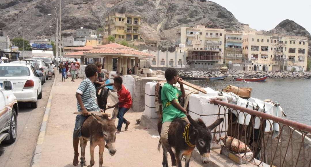 الحمير تشعل المواجهات بين شباب منطقتي المعلا وكريتر في عدن