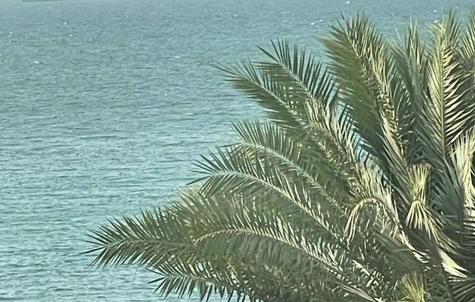 السفينة البديلة لخزان صافر