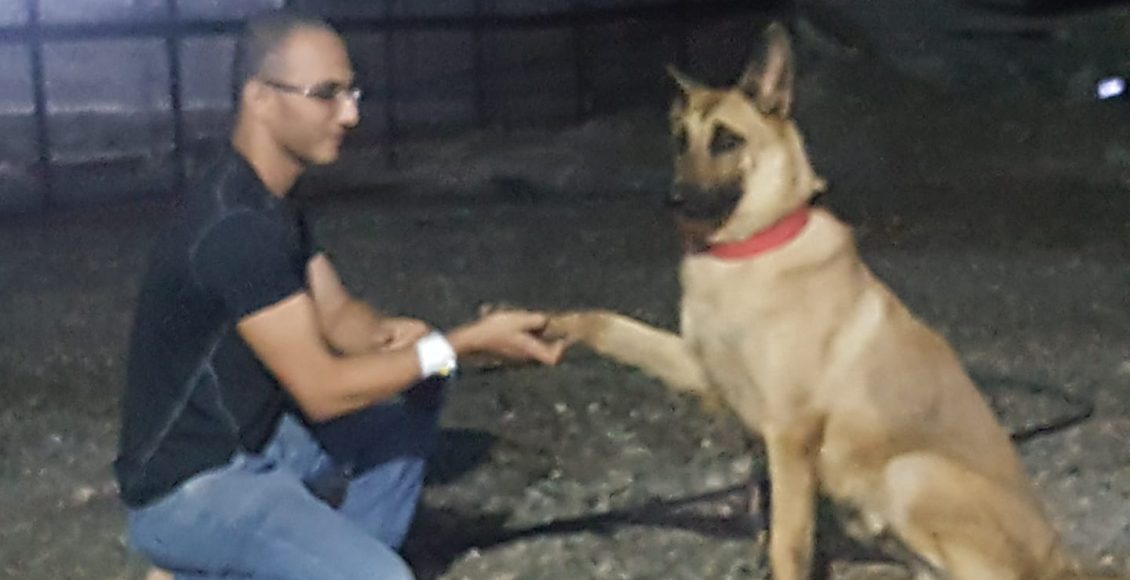 روكي كلب في عدن ارشيف