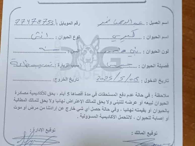 سند استلام الكلبة كيري في عدن